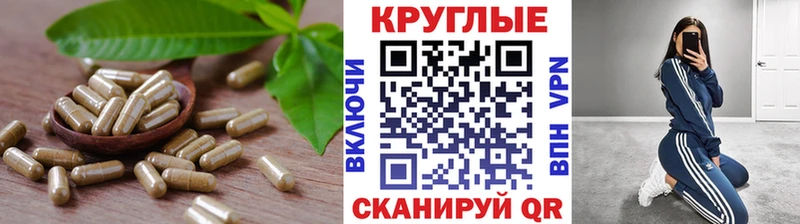 наркота  гидра как войти  ЭКСТАЗИ 300 mg  Котельнич 