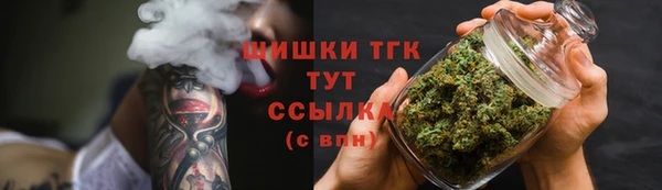 гидра Армянск