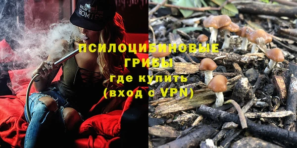 гидра Армянск