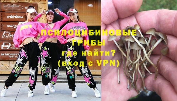 дживик Аркадак